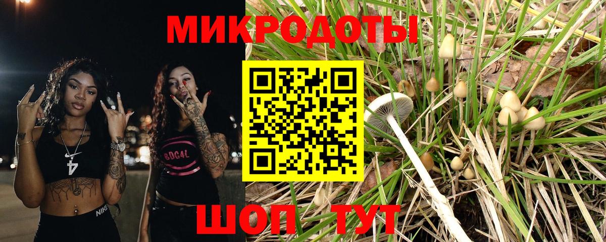 Озёры  Псилоцибиновые грибы Magic Shrooms  Вход с VPN  Галлюциногенные грибы мицелий 